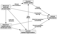 Thumbnail for Effects of land use legacies and habitat fragmentation on salamander abundance