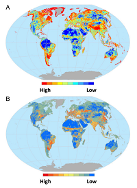 Thumbnail for Quantification of habitat fragmentation reveals extinction risk in terrestrial mammals