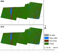 Thumbnail for Simulating forest cover change in the northeastern U.S.: decreasing forest area and increasing fragmentation