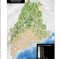 Thumbnail for The environmental consequences of forest fragmentation in the Western Maine Mountains