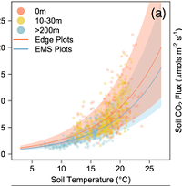 Thumbnail for Evidence for Edge Enhancements of Soil Respiration in Temperate Forests
