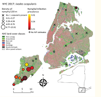 Thumbnail for Enhancement of Risk for Lyme Disease by Landscape Connectivity, New York, New York, USA