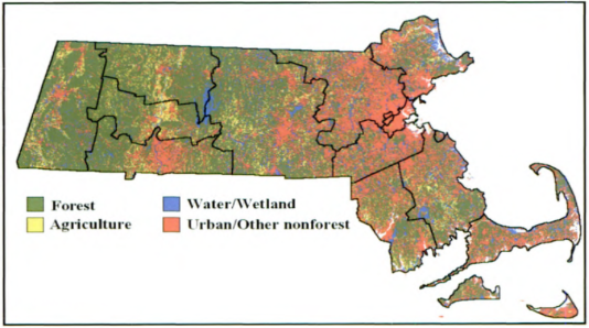 Thumbnail for Trends in Massachusetts Forests: A Half-century of Change