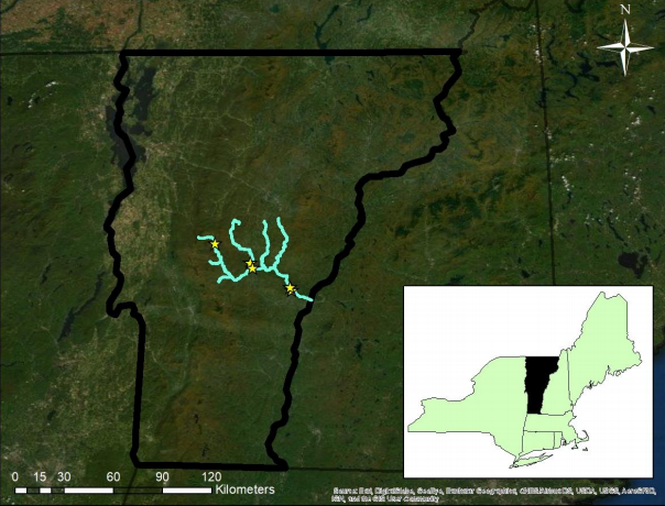 Thumbnail for The Impacts Of Terrestrial Invasive Plants On Streams And Natural And Restored Riparian Forests In Northern New England