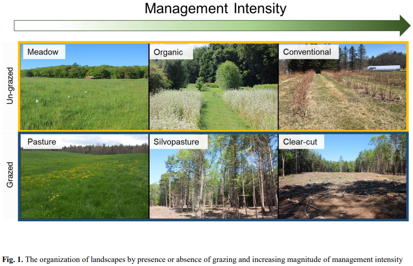 Thumbnail for Effects of land use on wild bee functional diversity