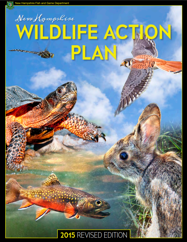 Thumbnail for New Hampsire Wildlife Action Plan 2015