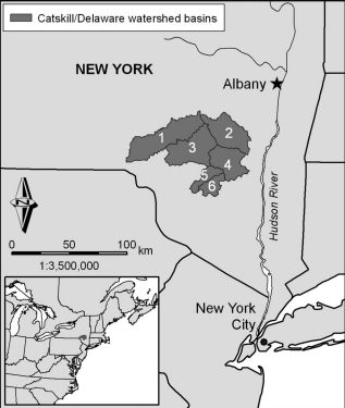 Thumbnail for Parcelization and Land Use: A Case Study in the New York City Watershed