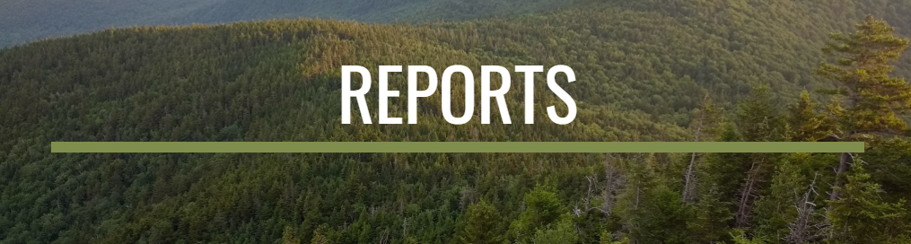 Thumbnail for Vermont Parcelization Website: Reports
