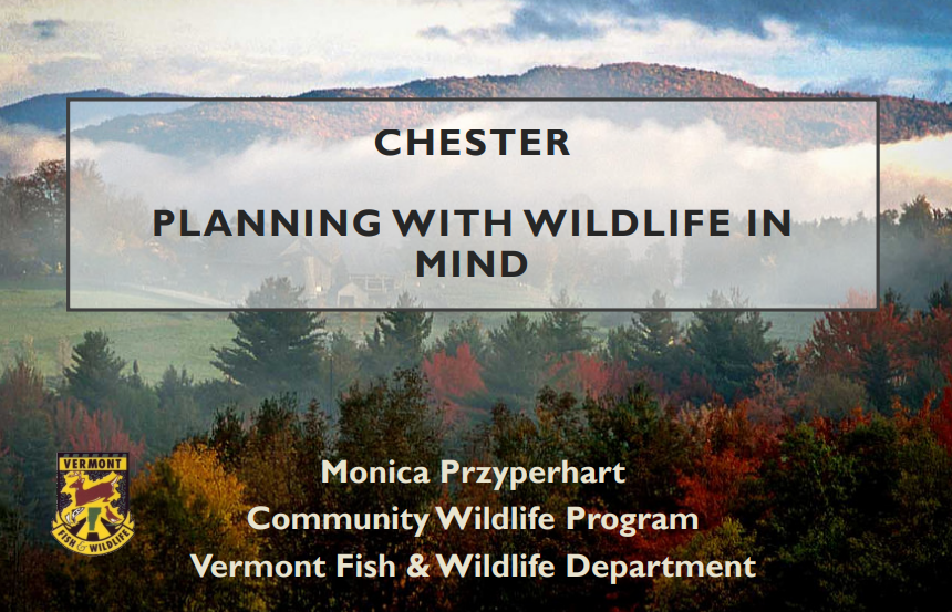Thumbnail for Chester PLANNING WITH WILDLIFE IN MIND