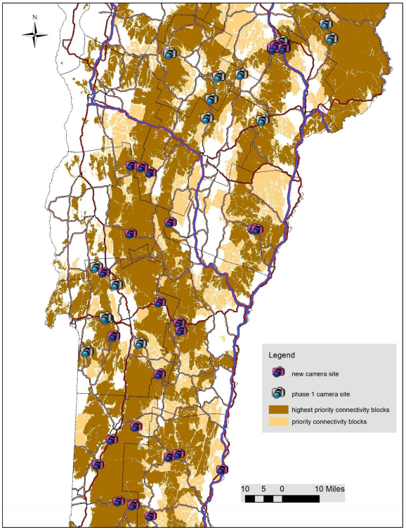 Thumbnail for Reducing Wildlife Mortality on Roads in Vermont: Determining Relationships Between Structure Attributes and Wildlife Movement Frequency Through Bridges and Culverts to Improve Related Conservation Investments