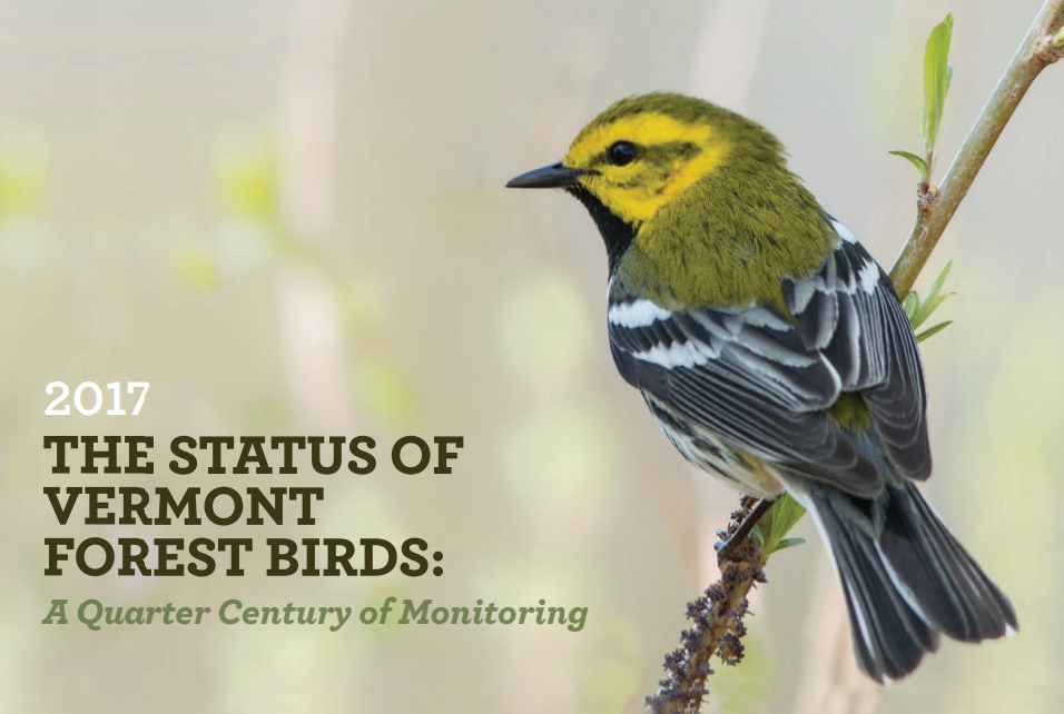 Thumbnail for 2017 The Status Of Vermont Forest Birds: A Quarter Century of Monitoring