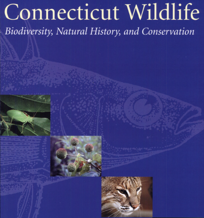 Thumbnail for Connecticut Wildlife: Biodiversity, Natural History, and Conservation