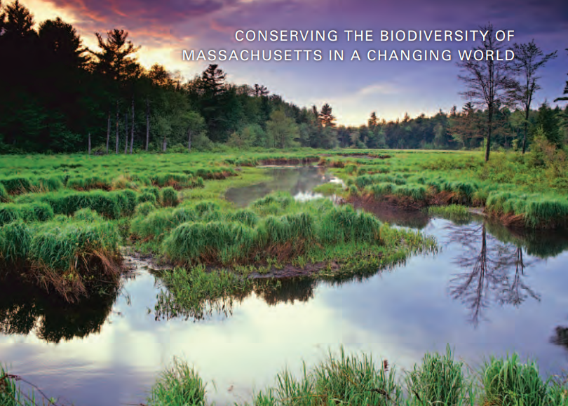 Thumbnail for BioMap2: Conserving the Biodoversity of Massachusetts in a Changing World