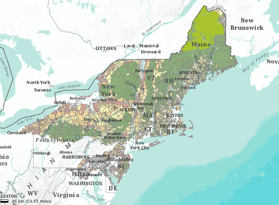 Thumbnail for Threatened Species and Forest Fragmentation, Northeast US