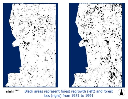 Thumbnail for Forest Fragmentation in Central Massachusetts 1951-1991