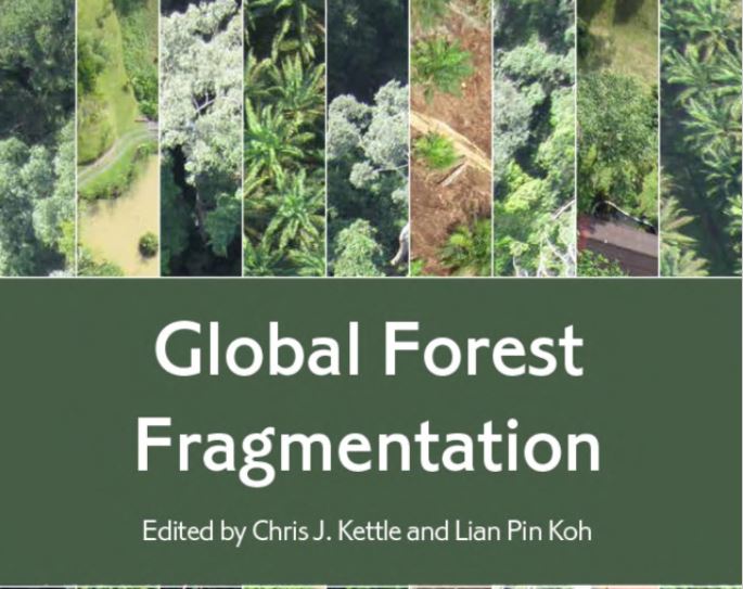 Thumbnail for Global Forest Fragmentation