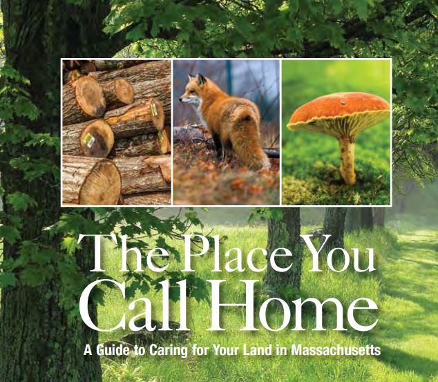 Thumbnail for The Place You Call Home: A Guide to Caring for Your Land in Massachusetts
