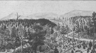 Thumbnail for New Forestry in Eastern Spruce-Fir Forests: Principles and Applications to Maine