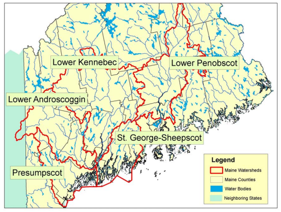 Thumbnail for Forests on the Edge: A Case Study of South-Central and Southwest Maine Watersheds