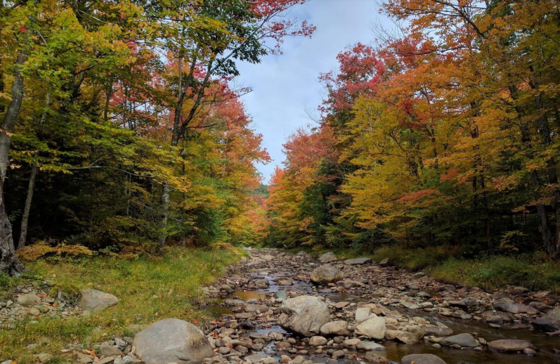 Thumbnail for New Hampshire Forest Action Plan - 2020