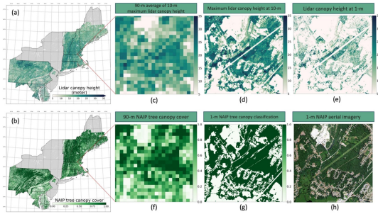 Thumbnail for High-resolution forest carbon modelling for climate mitigation planning over the RGGI region, USA