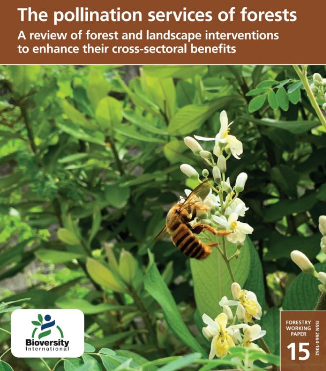 Thumbnail for The Pollination Services of Forests: A Review of Forest and Landscape Interventions to Enhance Their Cross-Sectoral Benefits