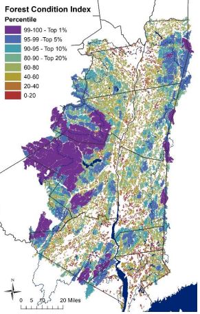 Thumbnail for Forest Condition Index: Conservation Data for the Hudson River Estuary Watershed