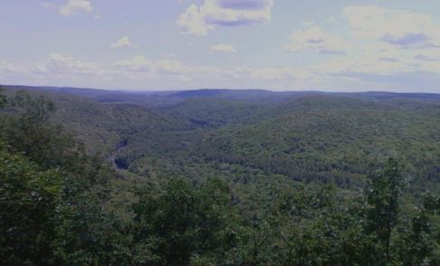 Thumbnail for Connecticut‘s Forest Resource Assessment and Strategy 2010