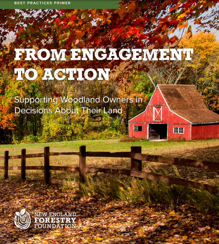 Thumbnail for From Engagement to Action: Supporting Woodland Owners in Decisions About Their Land