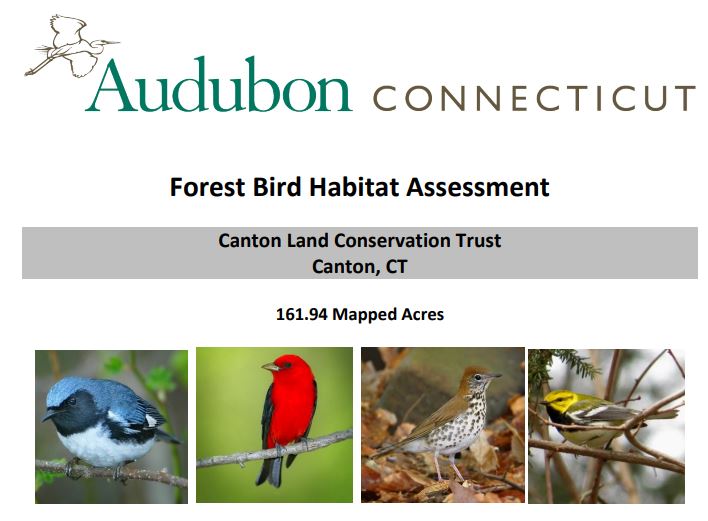 Thumbnail for Forest Bird Habitat Assessment