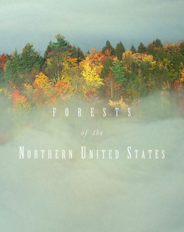 Thumbnail for Forests of the Northern United States