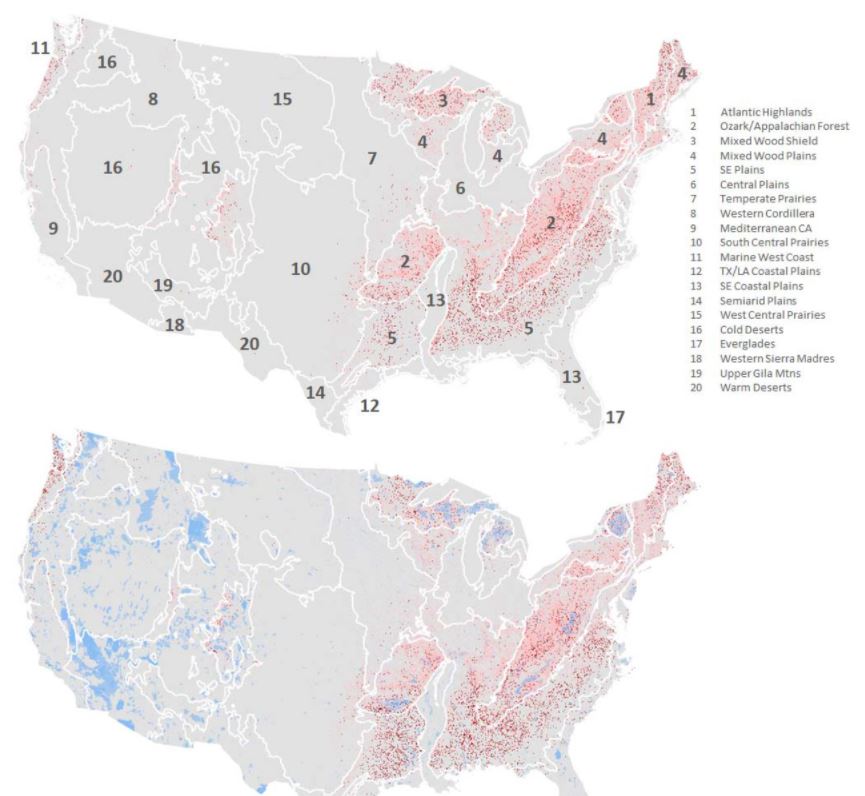 Thumbnail for Degradation of Visible Autumn Icons and Conservation Opportunities: Trends in Deciduous Forest Loss in the Contiguous US