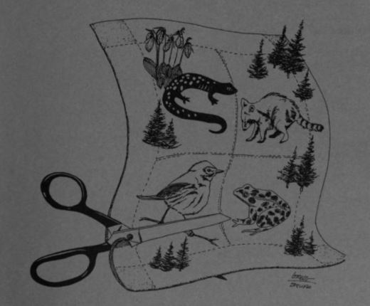 Thumbnail for Forest Fragmentation and Island Biogeography: A Summary and Bibliography