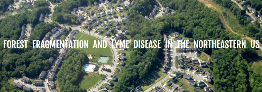 Thumbnail for Forest Fragmentation and Lyme Disease in the Northeastern US