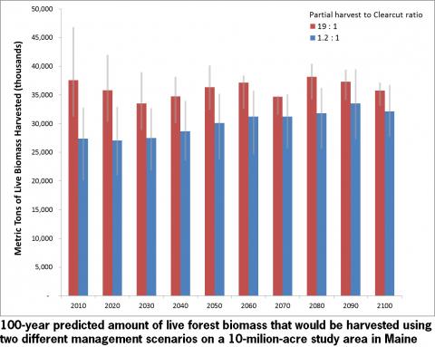 Thumbnail for Hundred Year Predicted Benefits of Including Clearcutting in Management of Maine's Forests