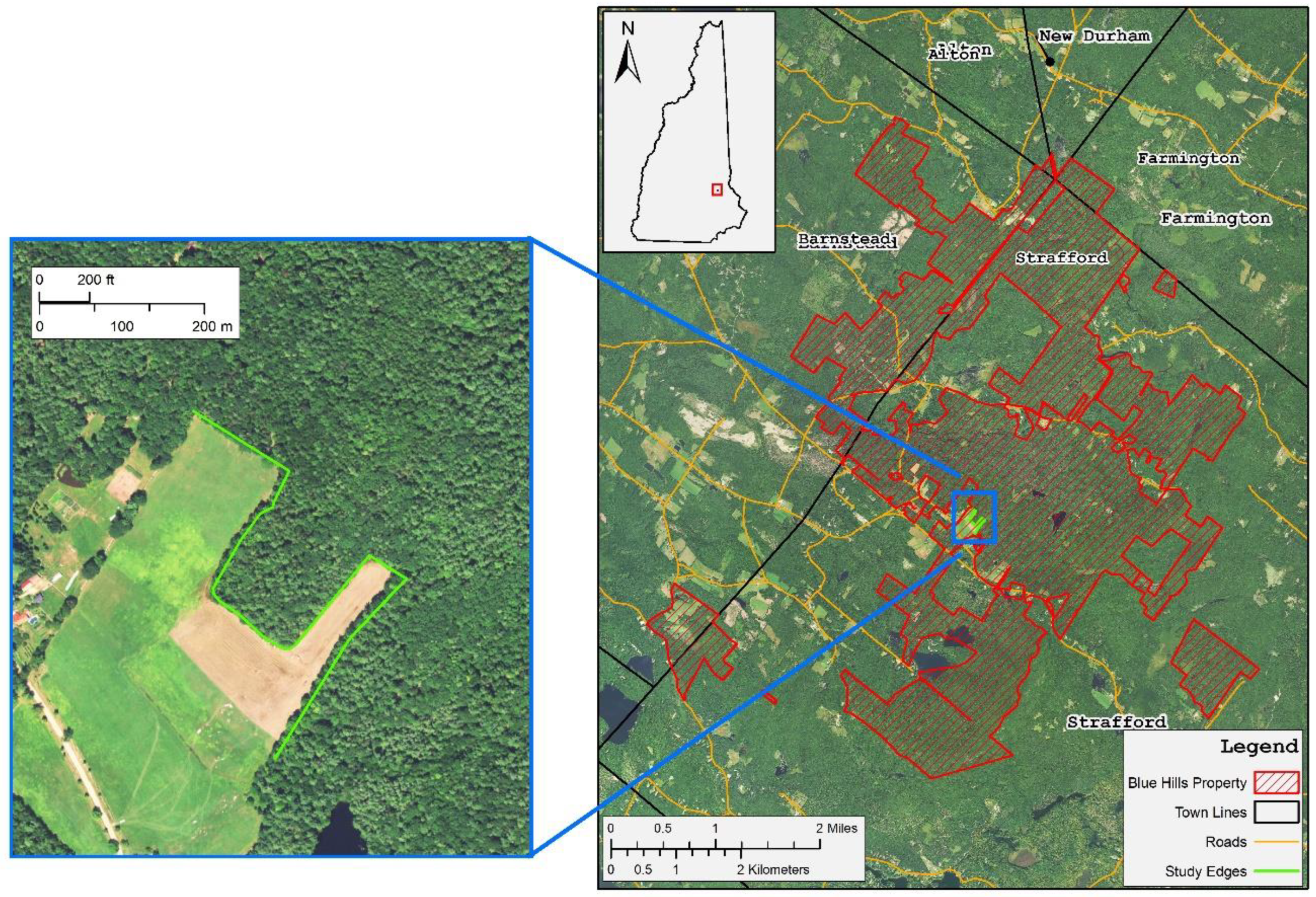 Thumbnail for Evaluating the Capability of Unmanned Aerial System (UAS) Imagery to Detect and Measure the Effects of Edge Influence on Forest Canopy Cover in New England