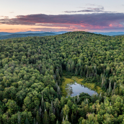 Thumbnail for Rewilding, New Hampshire: New Hampshire Couple Protects 74 Acres