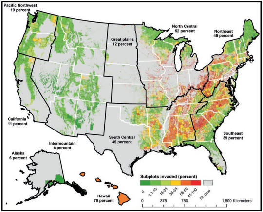 Thumbnail for Invasive Species in Forests and Rangelands of the United States: A Comprehensive Science Synthesis for the United States Forest Sector