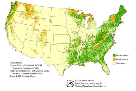 Thumbnail for ForestParcelization and Forest Fragmentation in the U.S., Northeast, and Vermont
