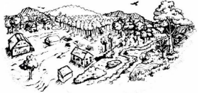 Thumbnail for The Efficacy of Habitat Conservation Assistance Programs for Family Forest Owners in Vermont