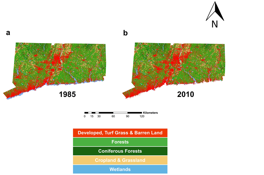 Thumbnail for The Impact of Land Use Change for Greenhouse Gas Inventories and State-Level Climate Mediation Policy: A GIS Methodology Applied to Connecticut