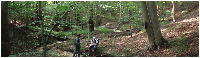 Thumbnail for Forest Planning and Assessment