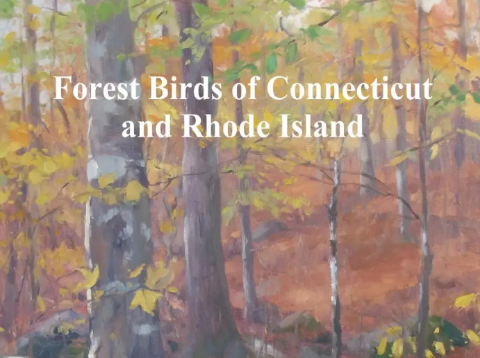 Thumbnail for Forest Birds of Connecticut and Rhode Island