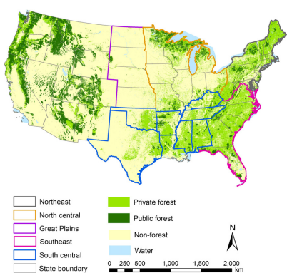 Thumbnail for How are America's private forests changing? An integrated assessment of forest management, housing pressure, and urban development in alternate emissions scenarios