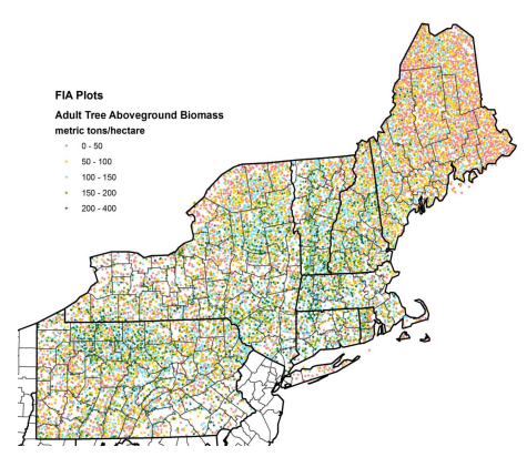 Thumbnail for Forest Biomass and Bioenergy:  Opportunities and Constraints    in the Northeastern United States