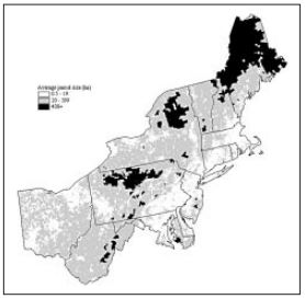 Thumbnail for Assessment and Mapping of Forest Parcel Sizes