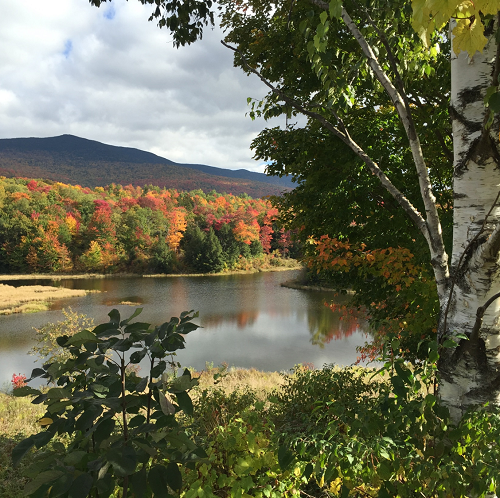 Picture of lake and autumn foliage