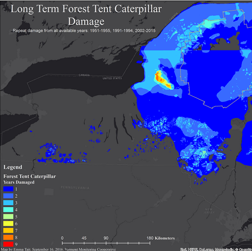 the image for the current regional project