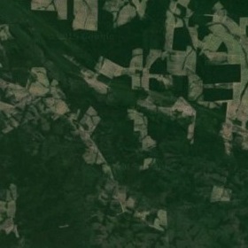 Thumbnail for Announcing the Northeastern Forest Fragmentation Information Network news item