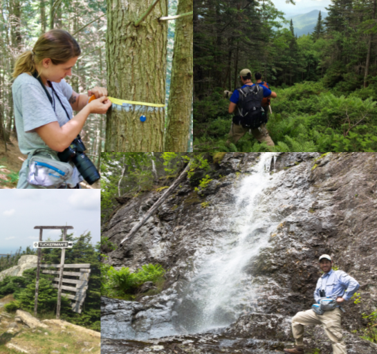 Thumbnail for FEMC is seeking summer field crew interns! news item
